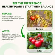 Humboldts Secret pH Up and pH Down Control Kit | Liquid Nutrient Solution Balancer for Plants | For Soil, Hydroponic, Coco, and DWC Systems | Supports Nutrient Absorption and Growth | 32 Ounce