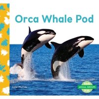 Orca Whale Pod