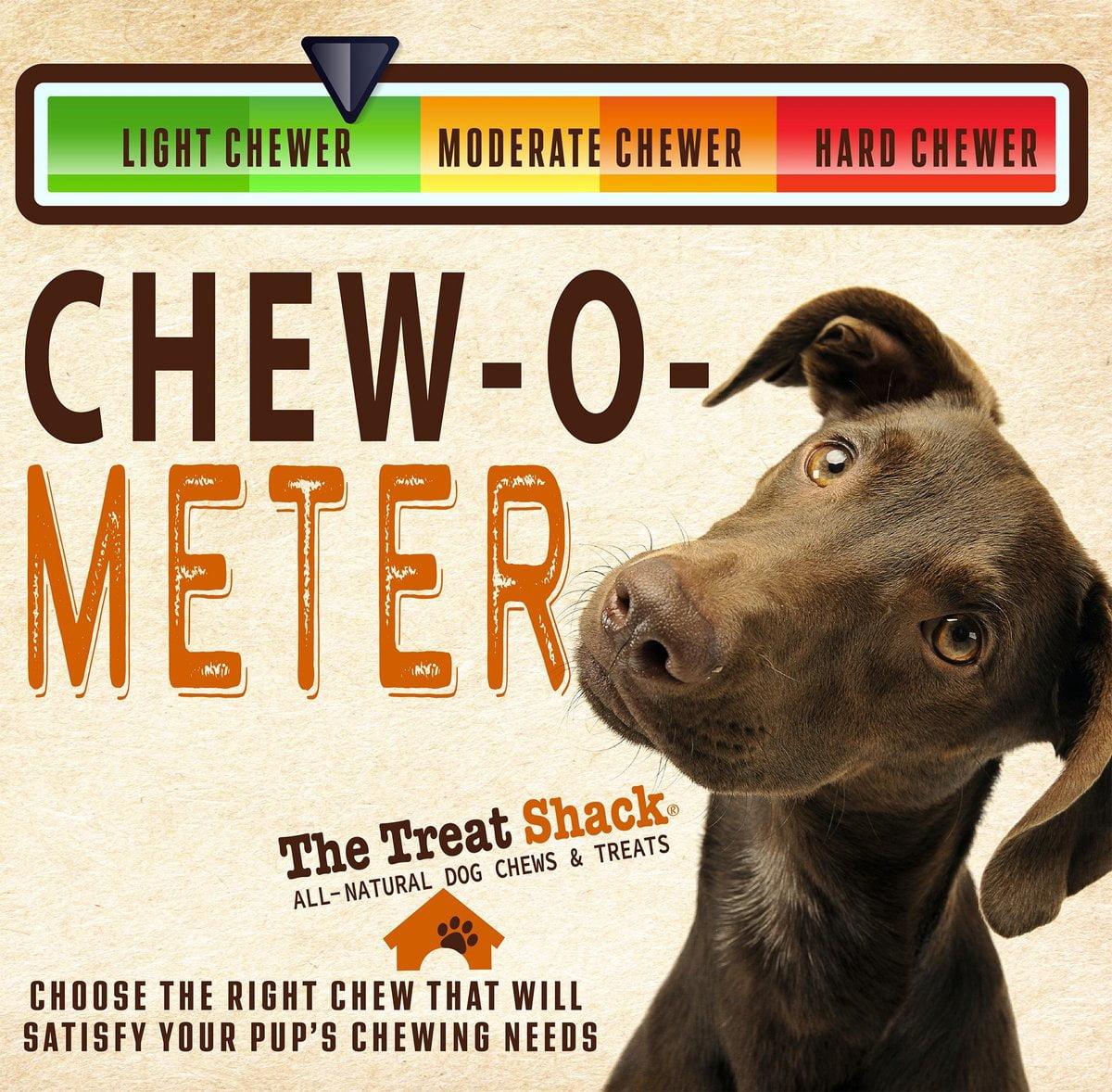 The Treat Shack Single Ingredient Beef Liver Freeze-Dried Dog & Cat Treats, 16-oz