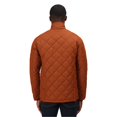 thumbnail image 3 of Regatta - Chaqueta Aislante Londyn de Acolchado para Hombre (Pan de Jengibre), 3 of 5