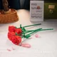 thumbnail image 5 of Juguete de bloques de construcción de rosas y flores eternas, Compatible con decoración de ensamblaje, regalo del Día del Maestro del Día de San Valentín para niña, 5 of 5