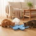 thumbnail image 5 of Moonsky Plastic Pet Petal Bowl for Multi-Cat Feeding and Professional Station for Small Dogs and Feline Supplies, 5 of 6