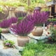 thumbnail image 4 of Outdoor Artificial Plants Indoor And Outdoor Hanging Plants Greening Gardens Porches Home Weddings Farmhouses Outdoor Decoration Terraces, 4 of 6