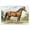 Majestic Horse Pastoral Landscape, variant on Stupell Industries Traditional Red Mare in Pastoral Landscape Canvas Art, 24 x 16, by Petals Prints Design