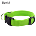 thumbnail image 2 of Blazin - Collar para perro con luz LED, pies de visibilidad, más brillante para seguridad nocturna, 2 of 6