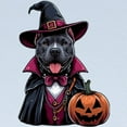 thumbnail image 2 of CafePress - Costumed Pitbull Halloween Long Sleeve Infant T Shirt - Long Sleeve Infant T-Shirt, 2 of 2