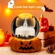 thumbnail image 3 of Nocturna Cristal Halloween 56984779 (E), 3 of 9