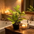 thumbnail image 6 of Artificial Potted Plants with Black Planter Faux Croton Greenery for Living Room and Office Desktop Decor, 6 of 7