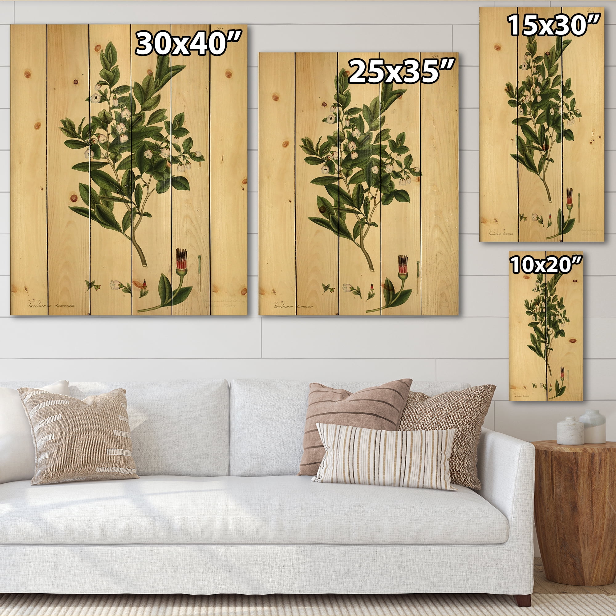 Designart 'Ancient Plant Life XXV' Traditional Print on Natural Pine Wood