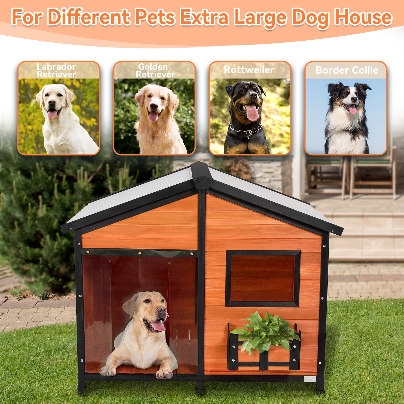 Petsfit Outdoor Dog House with Waterproof PVC Roof Removable Floor, Extra Large Wooden Dog House for 2 Medium Dogs, XXL Dog Houses with Window, Orange 47"