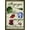 Bronze Framed Version, variant on The Wizard Of Oz - I'll Get You Wall Poster, 14.725" x 22.375" Framed