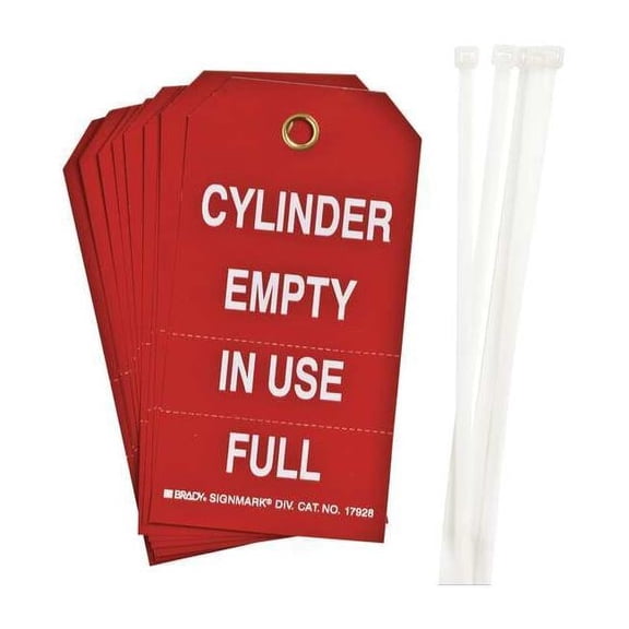 Brady Tag,5 3/4 in H,3 in W,Polyester,PK10 17928