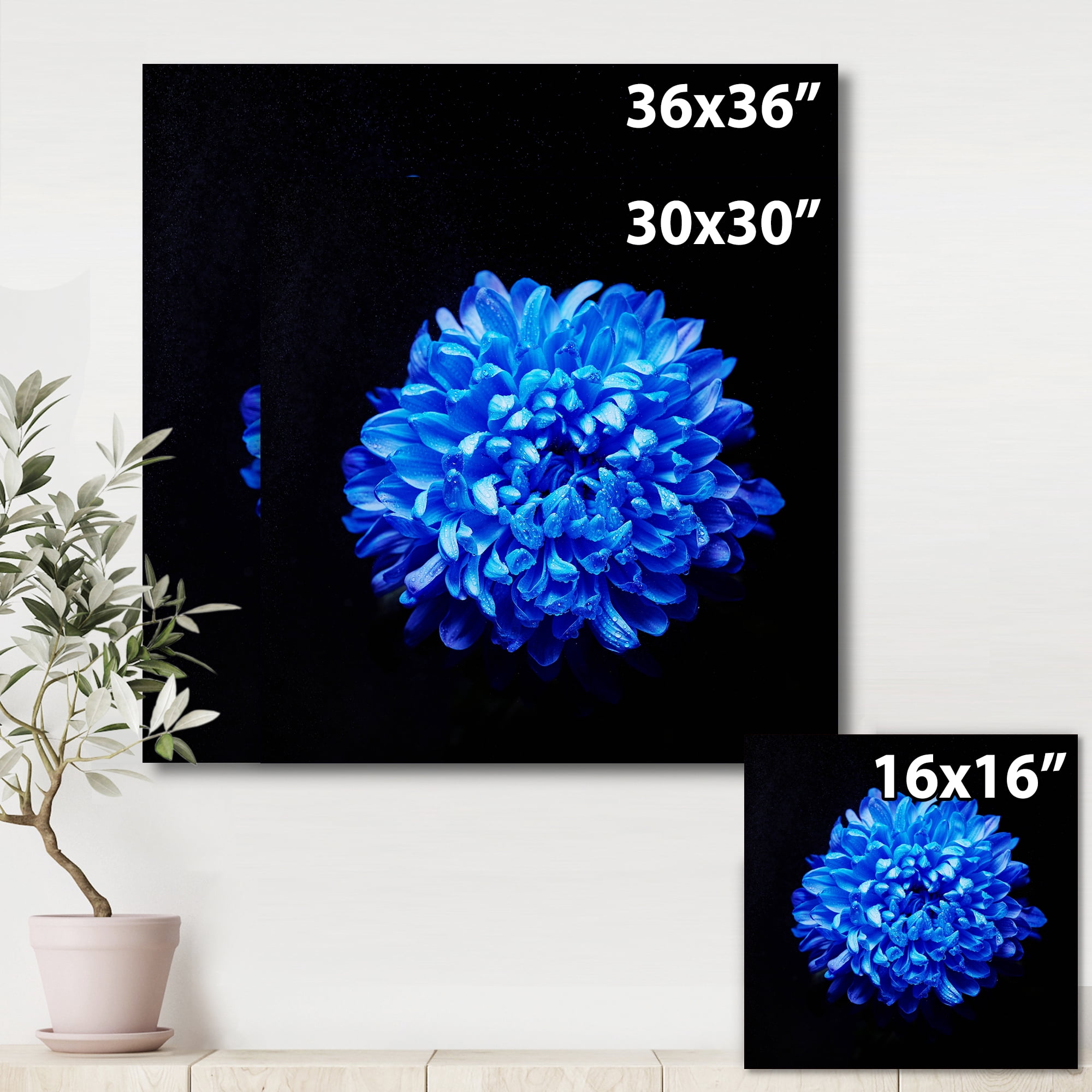 Designart ' Dew Drops on Blue Aster ' Traditional Canvas Wall Art Print