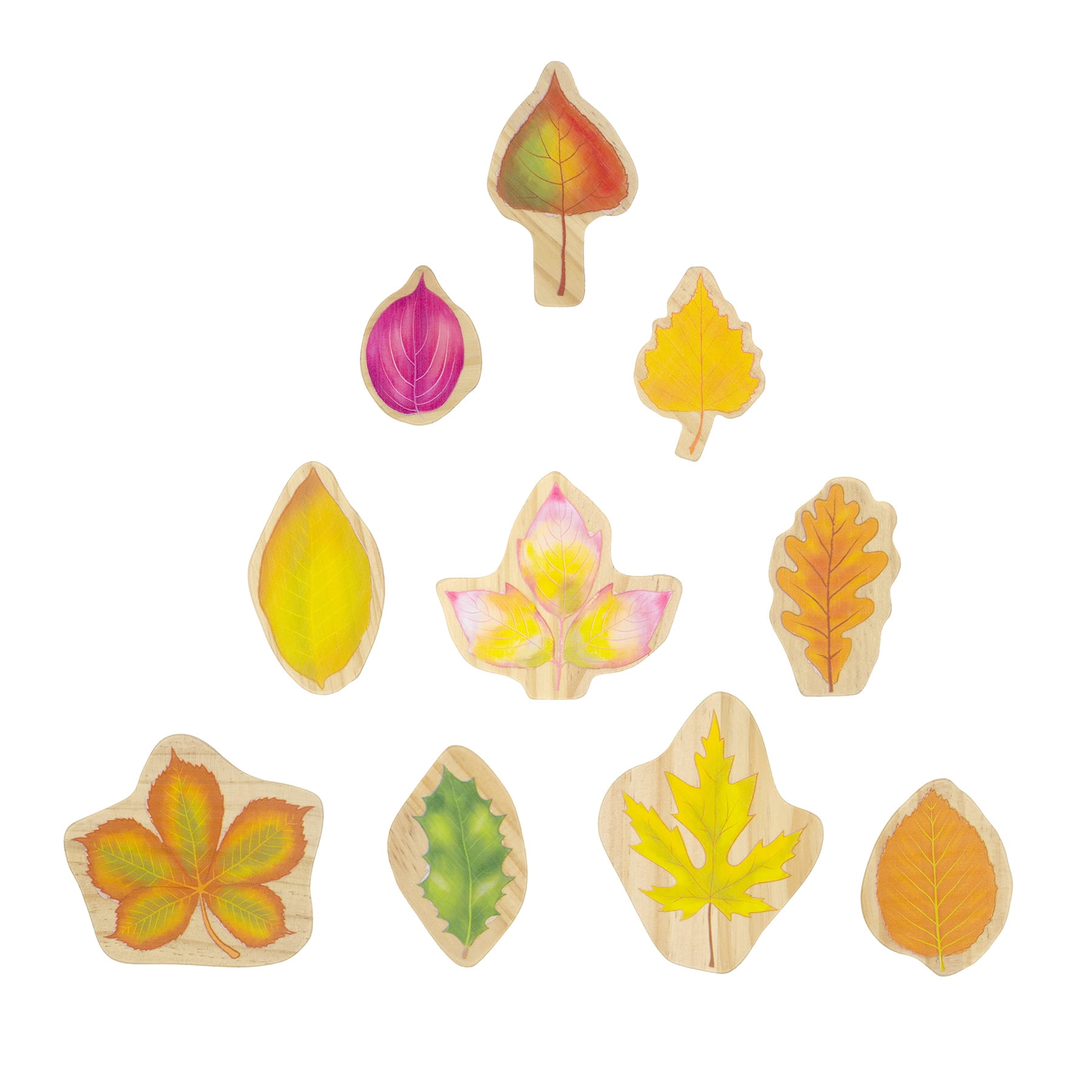 The Freckled Frog Stacking Leaves