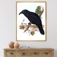thumbnail image 2 of Designart 'Ancient Australian Birds VI' Traditional Framed Canvas Wall Art Print, 2 of 5