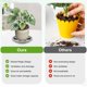 thumbnail image 4 of Uxcell 2-Pack Plato para Plantas, 16 cm/6.3 Pulgadas Bandejas de Plástico para Macetas/Interiores/Exteriores/Drenaje de Agua [Venas Amarillas], 4 of 7