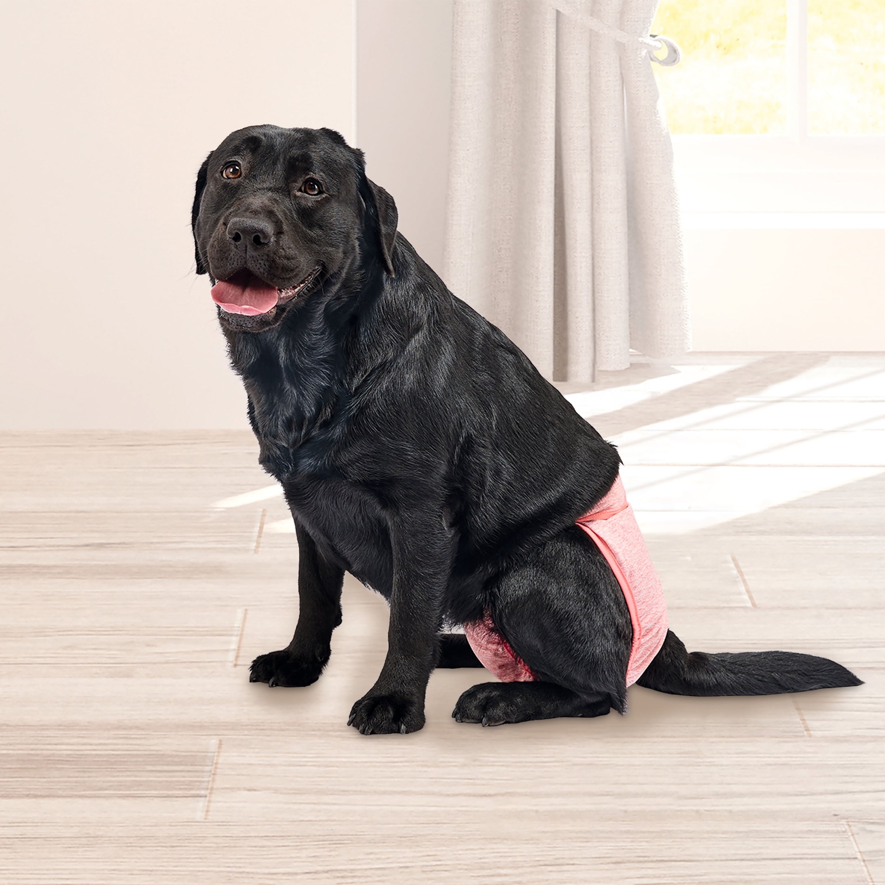 Vibrant Life Washable Dog Diapers for Female Dogs, L, 3 Count