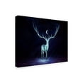 thumbnail image 4 of Trademark Fine Art Animals Canvas Art ' Nightbringer ' by JoJoesArt, 4 of 4