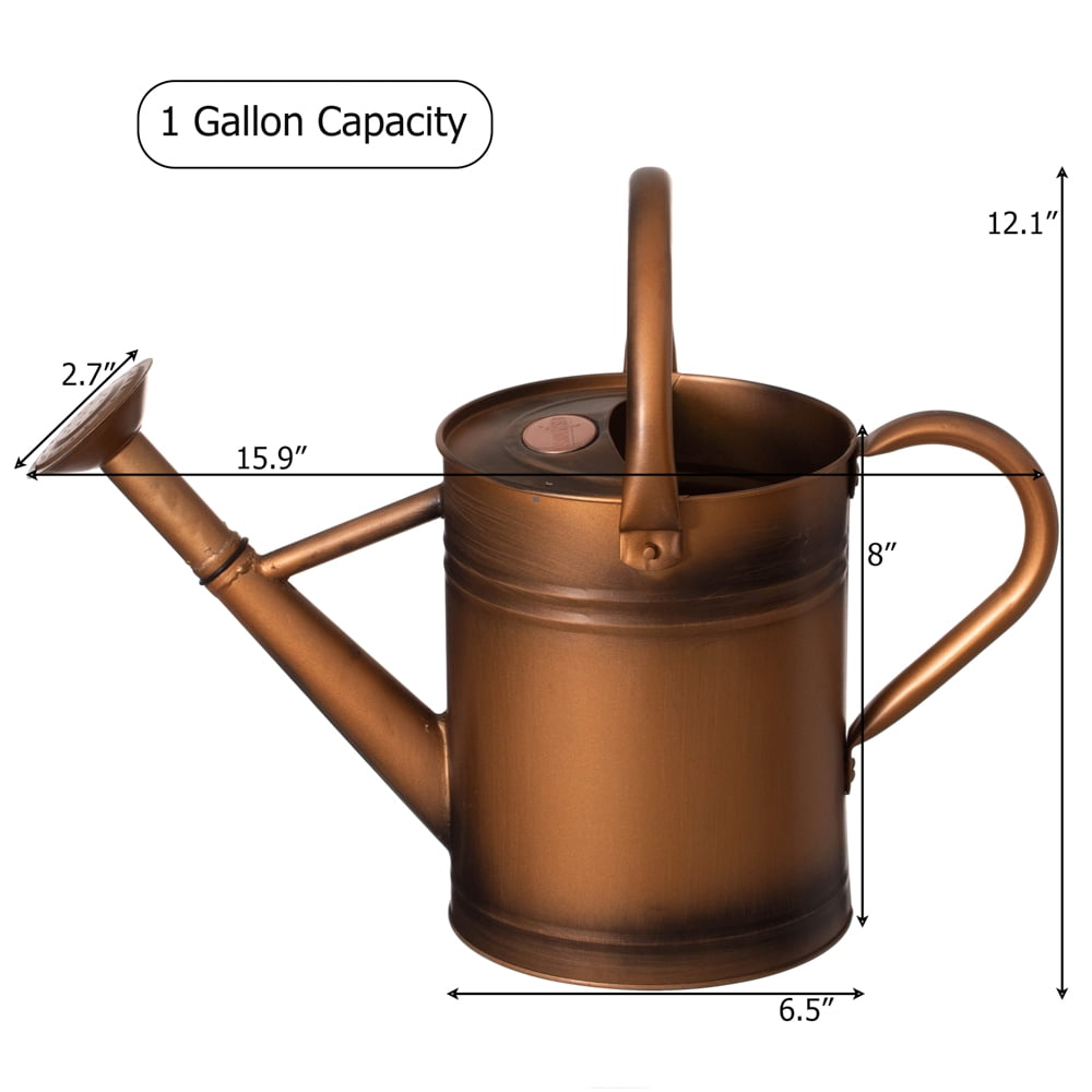 1-Gallon Steel Watering Can with Removable Sprinkler Head Ideal for Indoors & Outdoors, Bronze