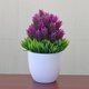 thumbnail image 1 of Advancent NUEVAS Plantas Artificiales Bonsai Plantas de Maceta de Árbol Pequeño Decoración Agujas de pino color de loto de piña, 1 of 3