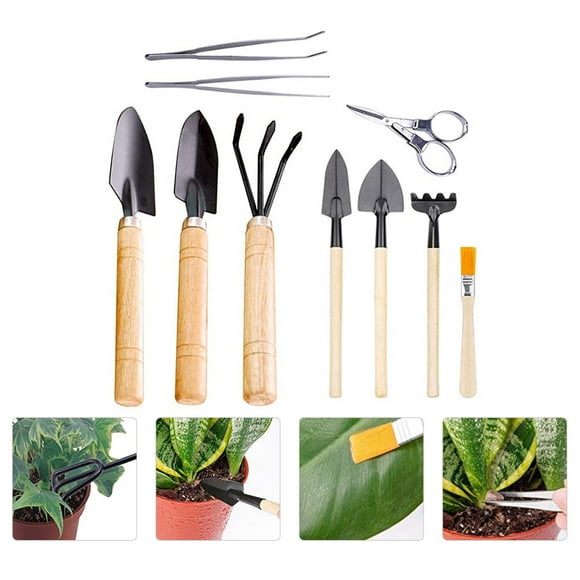 IFANLANDOR 10Pcs Succulent Gardening Tools Assorted Color Wood Compact Gardening Kit for Gardeners