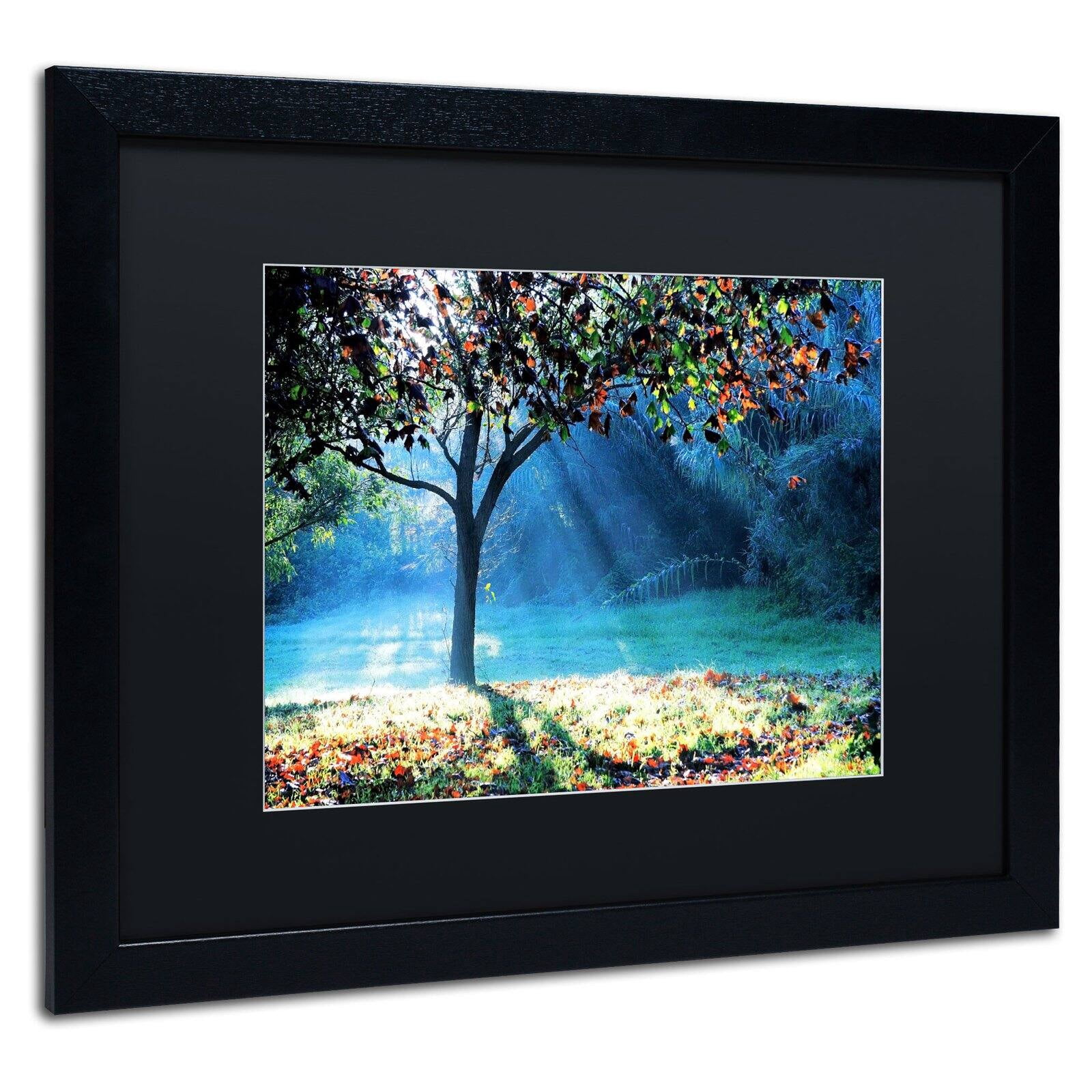 Trademark Fine Art "Rays of Hope" Canvas Art by Beata Czyzowska Young, Black Matte, Black Frame