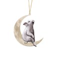 thumbnail image 2 of Ornaments Clearance! Christmas Decorations Animals Sitting on The Moon Ornaments for Christmas Tree Doubleprinted Acrylic Hanging Pendant for Christmas Tree Decorations Window Wall Hanging Ornament, 2 of 4
