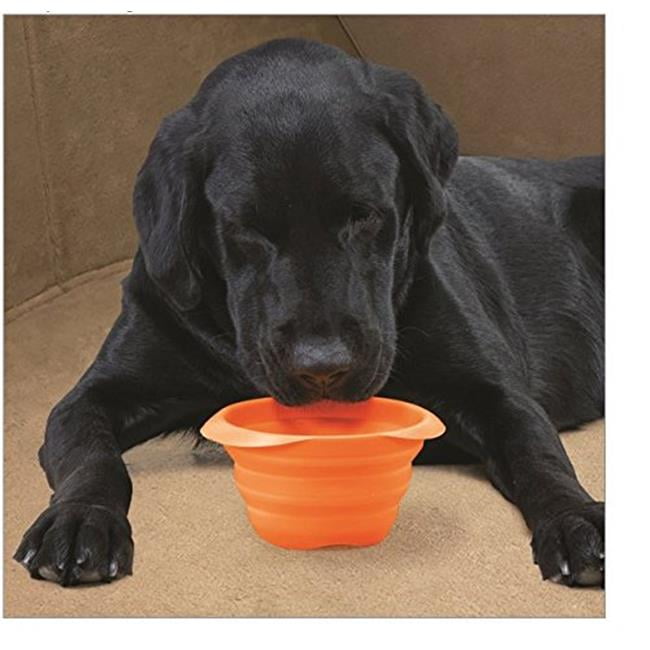 collapsible dog bowl walmart