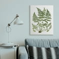 thumbnail image 2 of Stupell Industries Forest Botanicals Charming White Willow Greenery Canvas Wall Art, 30 x 40, Design by Lettered and Lined, 2 of 6