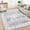 Gray, variant on Assaile 10 x 13 ft Polyester Wool Spinning Light Brown Rectangular Hallway Bathroom Entryway Kitchen Foldable Allure Flower Printed Persian Washable Area Rug