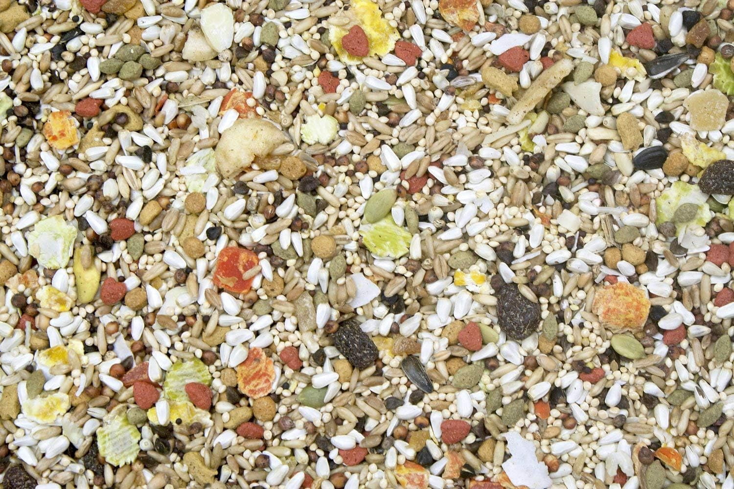 Higgins Safflower Gold Conure & Cockatiel Bird Food 3lbs. 2-Pack