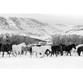 thumbnail image 2 of Highsmith, Carol 32x23 Gold Ornate Wood Framed with Double Matting Museum Art Print Titled - Wild Horses at the Wyoming-Colorado border, 2 of 4