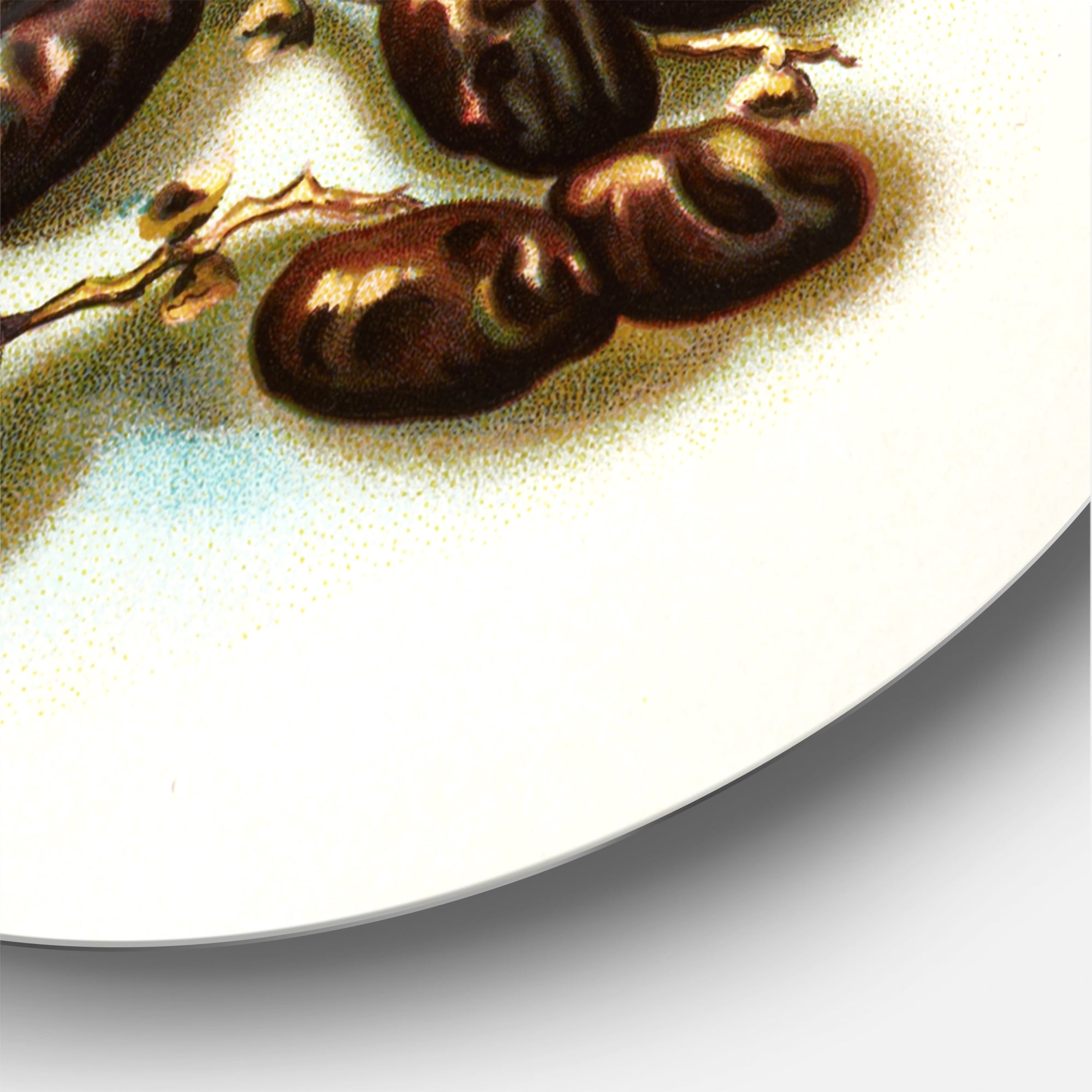 Designart 'Ancient Fruits IV' Farmhouse Circle Metal Wall Art 23x23 - Disc of 23