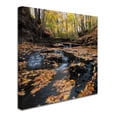 thumbnail image 3 of Trademark Fine Art "Late Autumn Falls" Canvas Art by Kurt Shaffer, 3 of 4