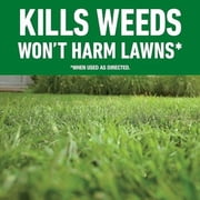 Roundup for Lawns Ready-to-Use with Trigger Sprayer, Tough Weed Killer for Use on Northern Grasses, 1 gal.