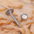 thumbnail image 4 of Jiaroswwei 10 X Stainless Steel Tragus Ball Labrets Lip Chin Ring Bar Body Piercing Studs, 4 of 4