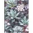 thumbnail image 1 of Cuadro Decorativo - Suculentas en gris Jr  Impresión en canvas, estrechado, 1 of 1