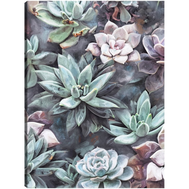 Cuadro Decorativo - Suculentas en gris Jr Impresión en canvas, estrechado