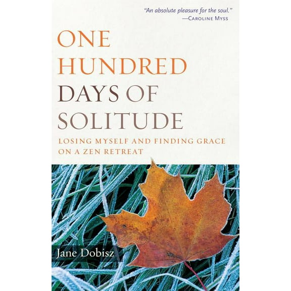 One Hundred Days of Solitude : Losing Myself and Finding Grace on a Zen Retreat (Paperback)
