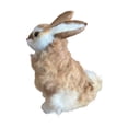 thumbnail image 1 of Niños\\\\\\\\\\\\\\\\\\\\\\\\\\\\\\\' marrón, 1 of 9