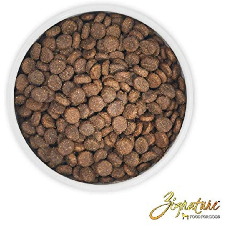 Best legume free dog food cheap