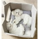 thumbnail image 4 of Linda Cama para Dormir para Gatos, Cojín Extraíble, Caseta para Cachorros, Cesta Semicerrada Cálida, Casa para Perros Y Gatos, Accesorios para Gatos P 49cmx39cmx46cm, 4 of 8