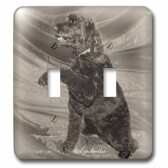 3dRose Black Dog - Double Toggle Switch (lsp_4648_2)