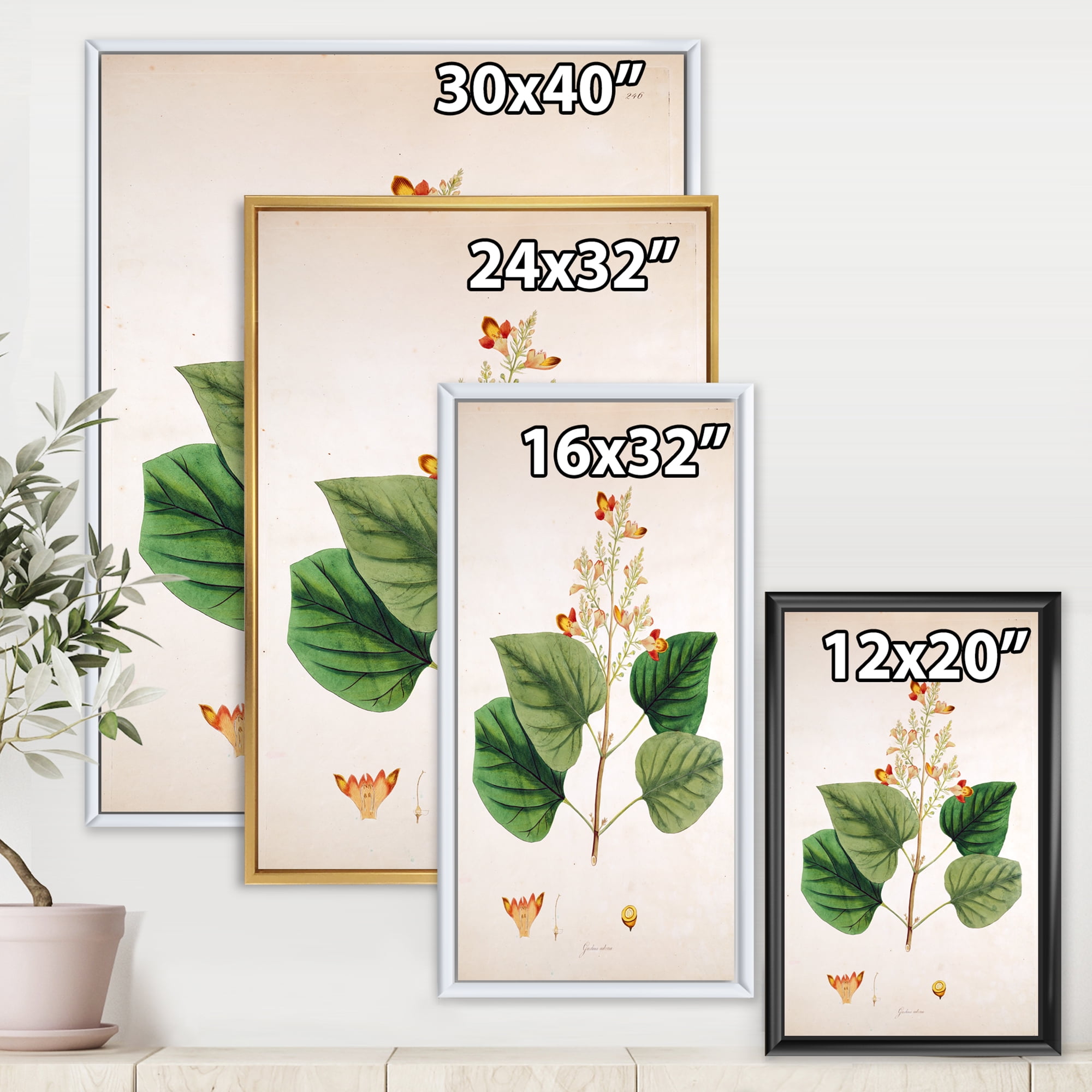 Designart 'Ancient London Plants XII' Farmhouse Framed Canvas Wall Art Print