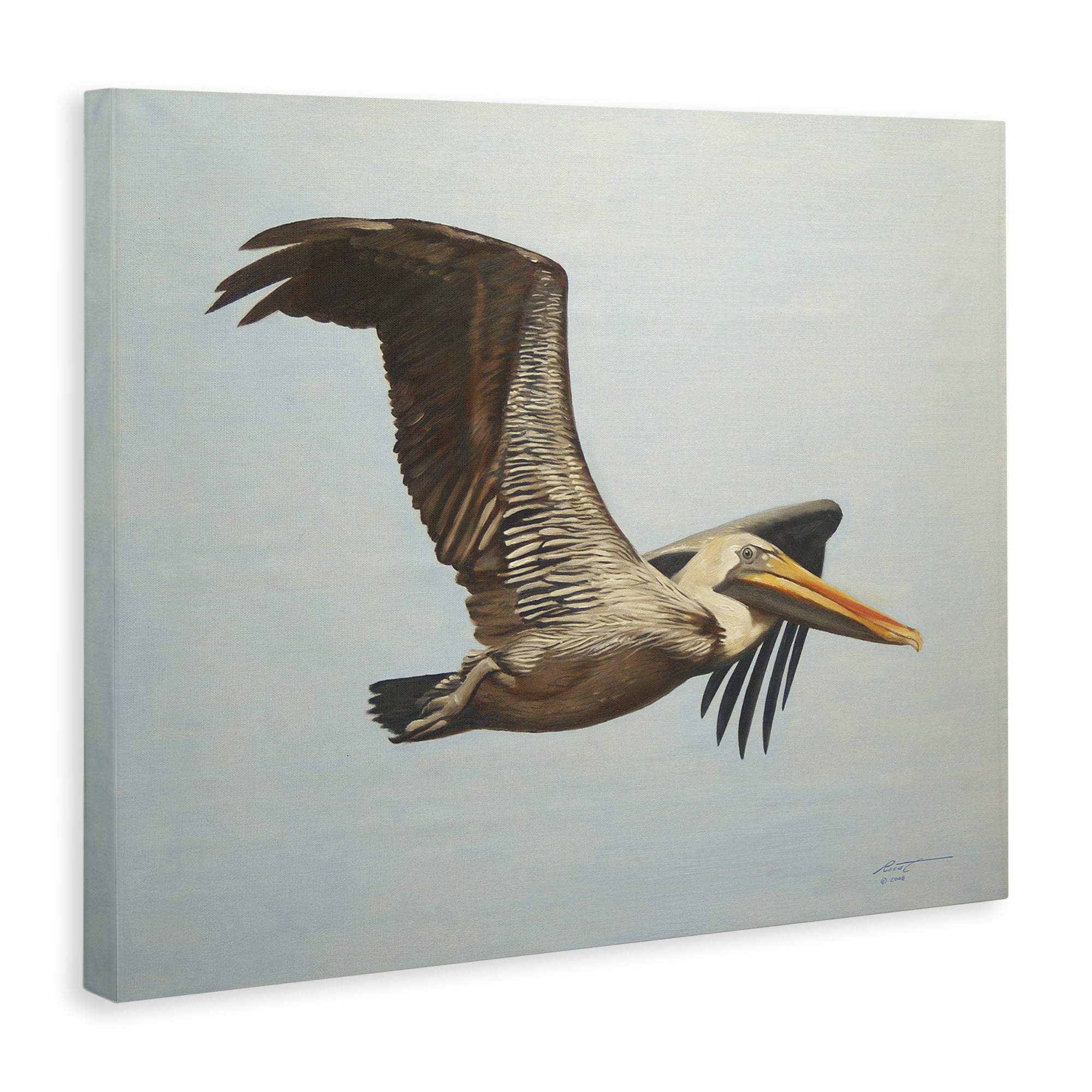 Stupell Industries Brown Pelican in Flight Animals & Insects Painting Gallery Wrapped Canvas Art Print Wall Art, 40 x 30