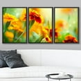 thumbnail image 2 of wall26 - 3 Piece Framed Canvas Wall Art - Tagetes Marigold Flower Autumn Flowers Background - Modern Home Art Stretched and Framed Ready to Hang - 24"x36"x3 Black, 2 of 5