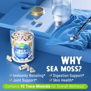 Wild Sea Moss, Raw Dried — MAJU Chondrus Crispus Whole Leaf