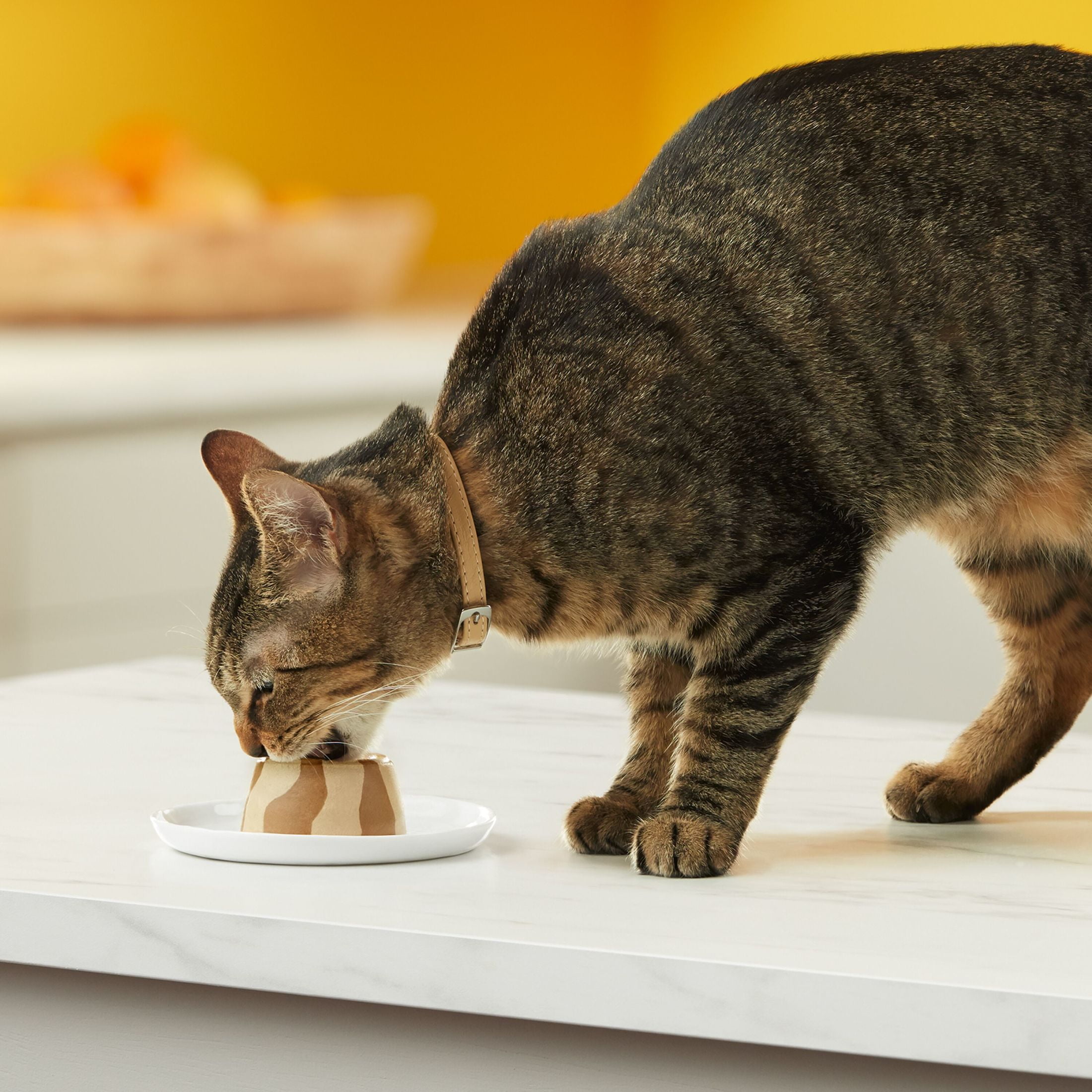 Meow Mix Tasty Layers Swirled Pate Cat Food, Chicken & Turkey