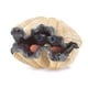 thumbnail image 1 of Peluche Hand Puppet Folkmanis Giant Clam Sea Life, 1 of 4