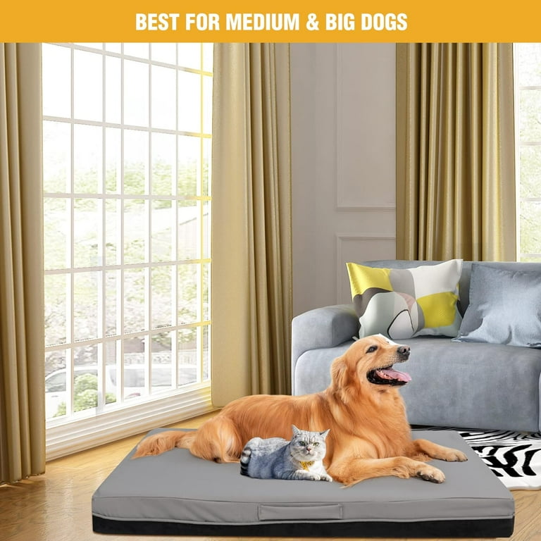 Jumbo dog sofa online